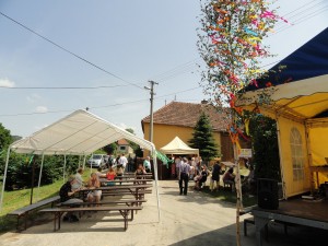 DSC07921 (Kopírovat)