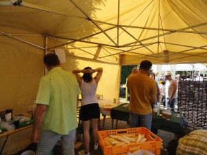 DSC07926 (Kopírovat)