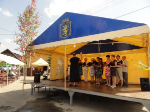 DSC07945 (Kopírovat)