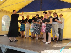 DSC07947 (Kopírovat)