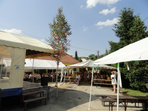 DSC07954 (Kopírovat)