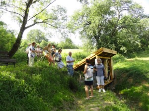 DSC07967 (Kopírovat)