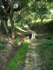 DSC07969 (Kopírovat)