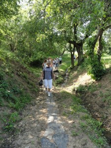 DSC07970 (Kopírovat)