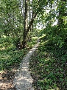 DSC07971 (Kopírovat)