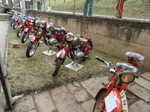 DSC09329 (Kopírovat)