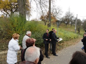 DSC09343 (Kopírovat)