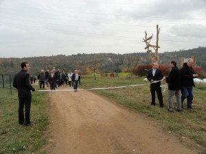 DSC09355 (Kopírovat)