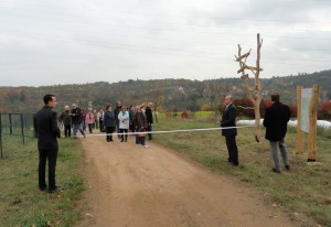 DSC09356 (Kopírovat)