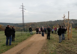 DSC09359 (Kopírovat)