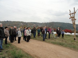 DSC09365 (Kopírovat)