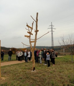 DSC09370 (Kopírovat)