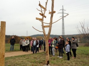 DSC09371 (Kopírovat)