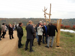 DSC09375 (Kopírovat)