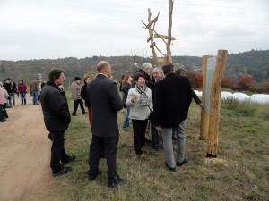 DSC09376 (Kopírovat)