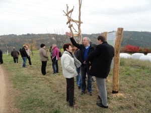 DSC09378 (Kopírovat)