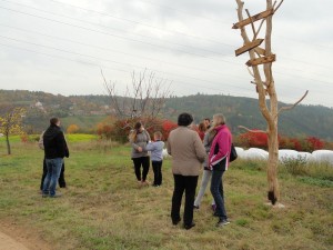 DSC09379 (Kopírovat)